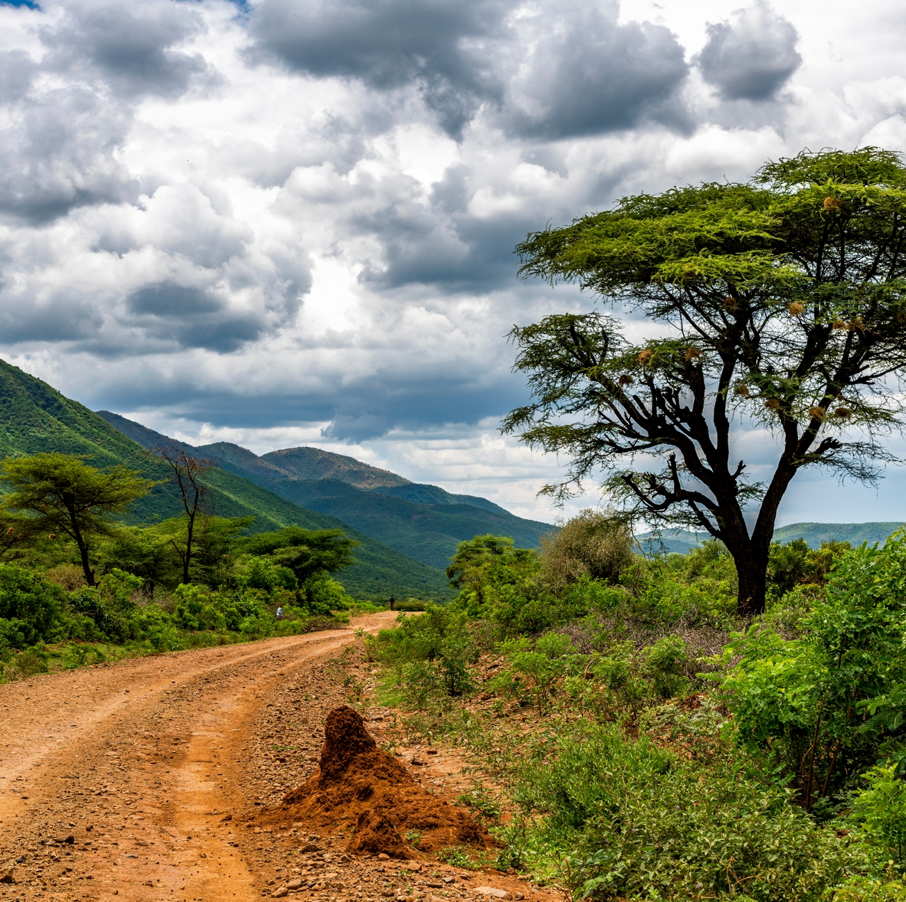 African landscape